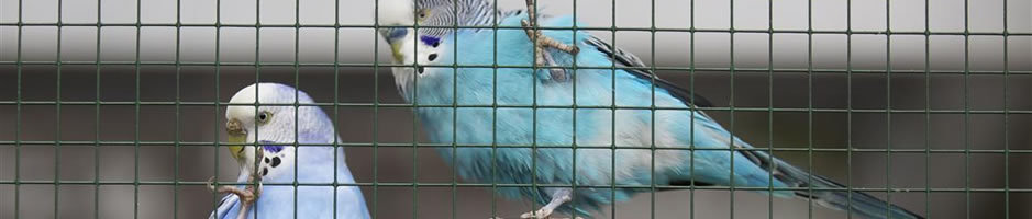 Volieres en trespa platen online bestellen